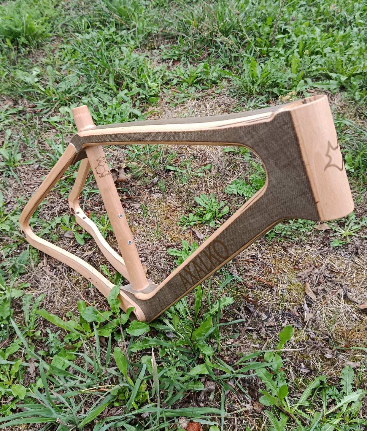 Axalko Flax frame: actual model photograph